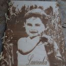 IMwood - Fotoalbum v gravírovaných dřevěných deskách