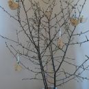 IMwood - Velikonoční dřevěná dekorace k pověšení - Ptáček s výřezem V 6 x 6,5 cm